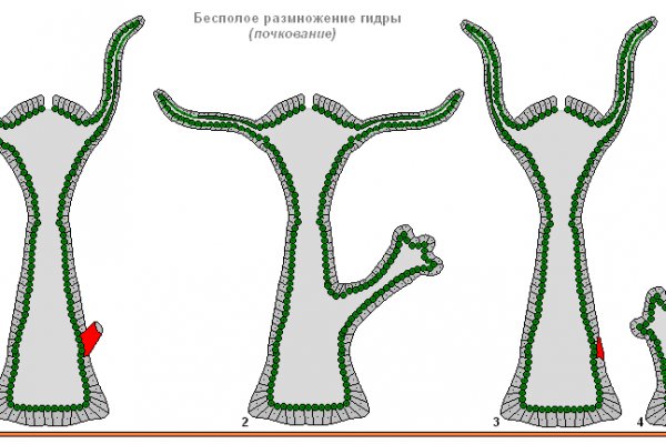 Кракен ссылка на тор